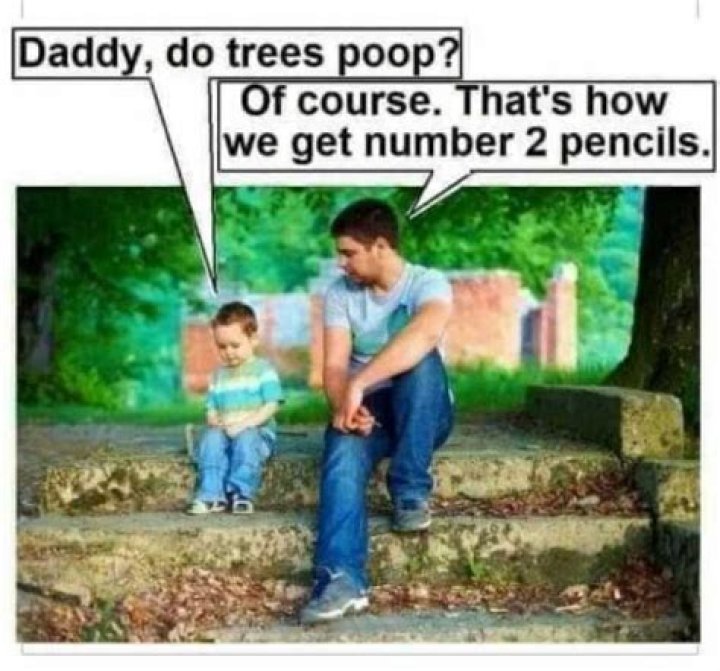 Do trees pee?