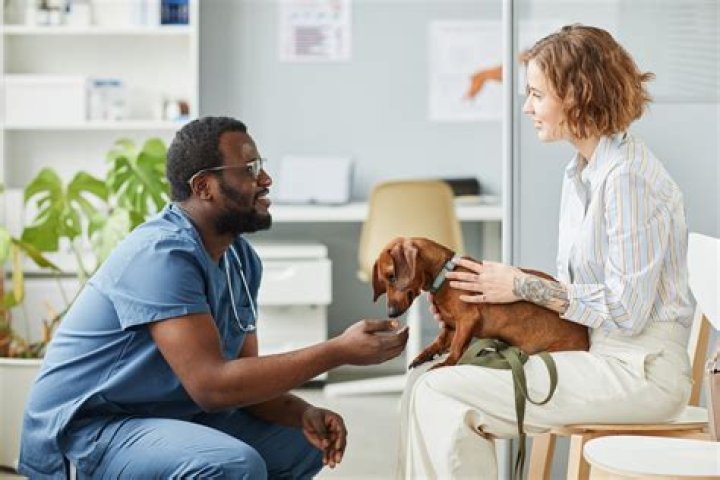 Do veterinarians enjoy their job?