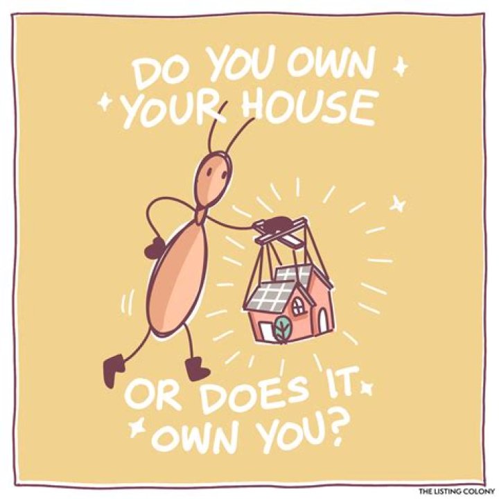 Do you own your own image?