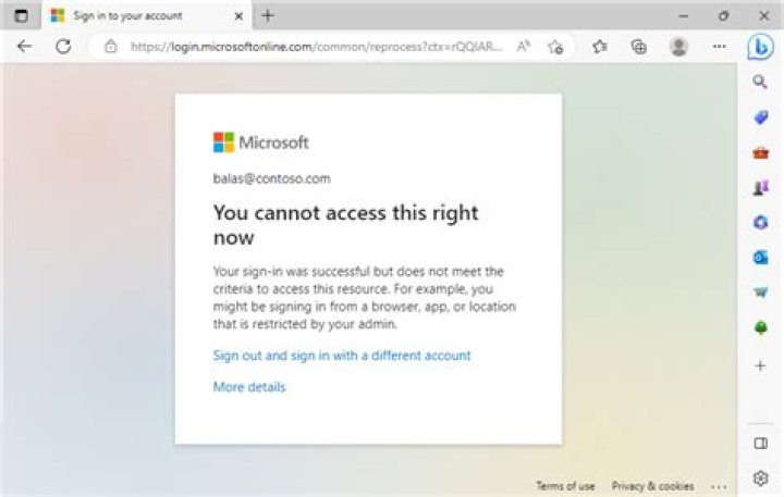 Does a cosigner have access to your account?