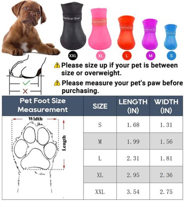 Does a puppy's paw size determine size?