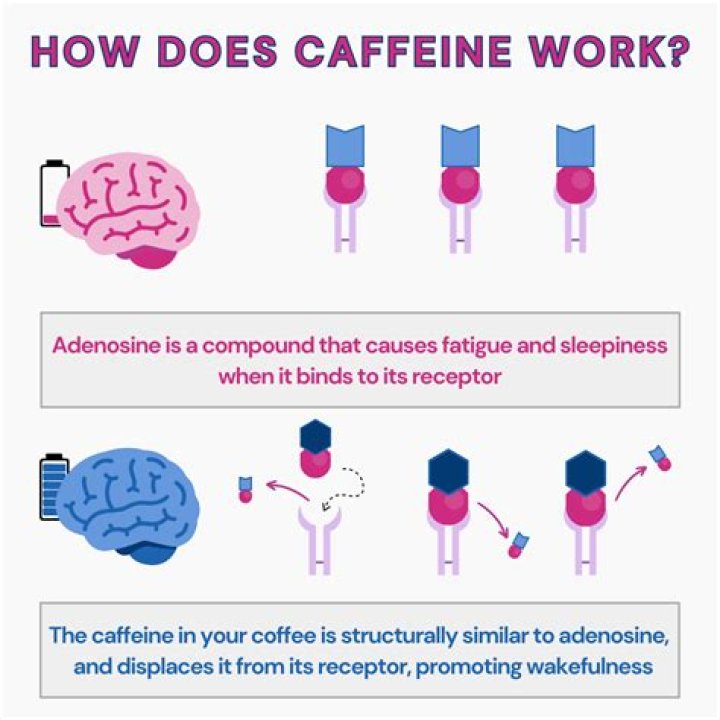 Does caffeine affect Alzheimer's?