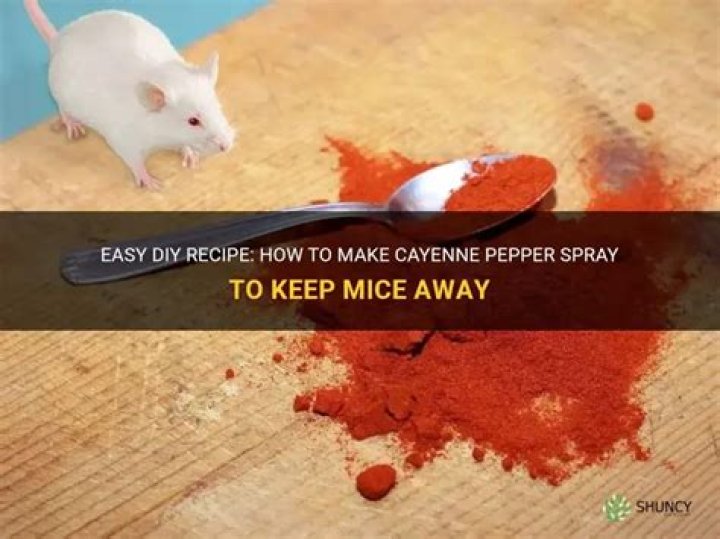 Does cayenne pepper keep mice away?