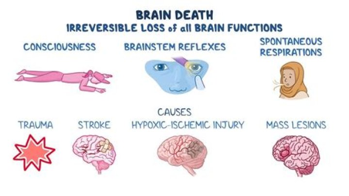Does CFS cause brain damage?