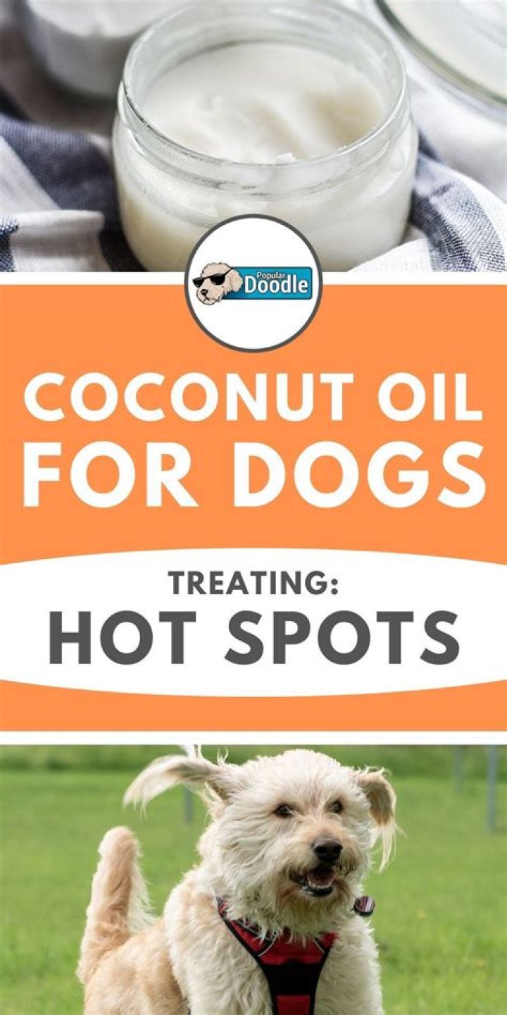 Does coconut oil help hot spots on dogs?
