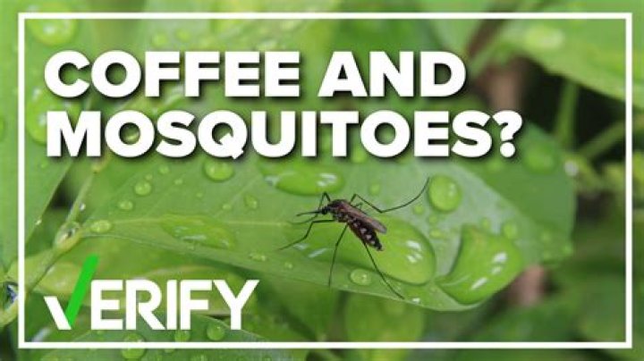 Does coffee get rid of mosquitoes?