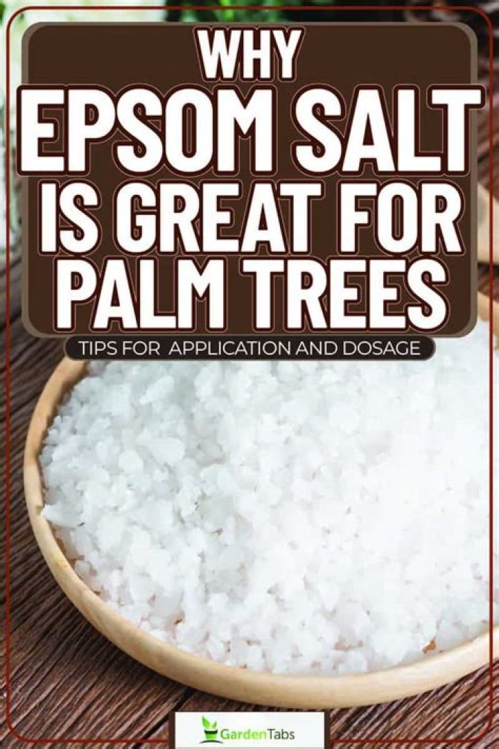 Does Epsom salt help palm trees?