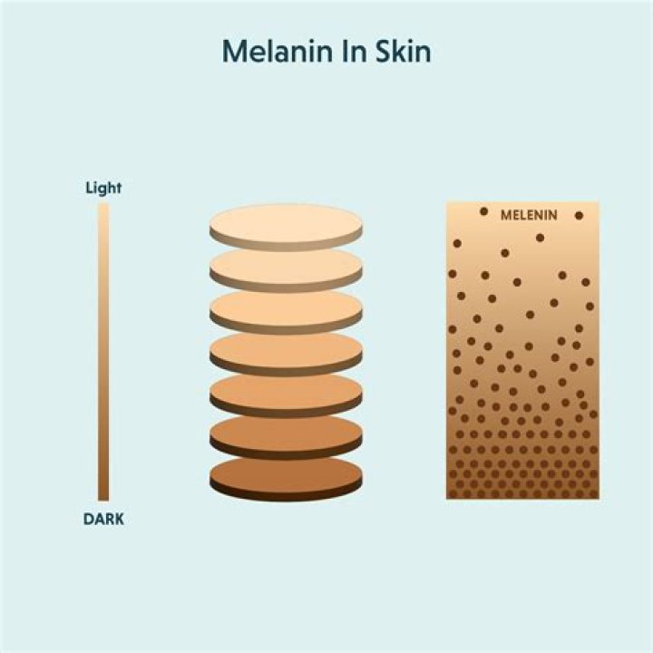 Does everyone have melanin?