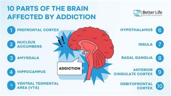 Does hydroxychloroquine affect the brain?