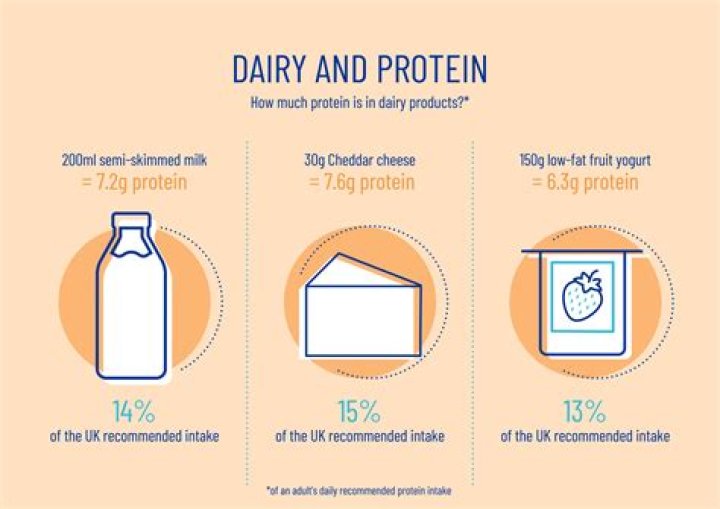 Does milk give you high cholesterol?