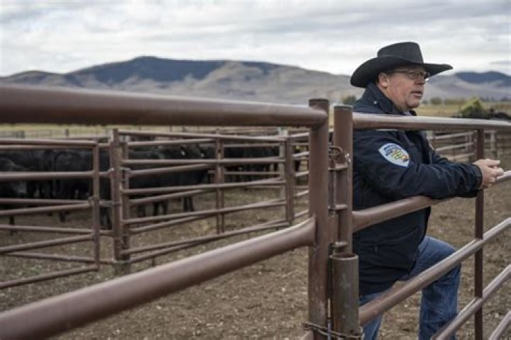 Does Montana have livestock police?
