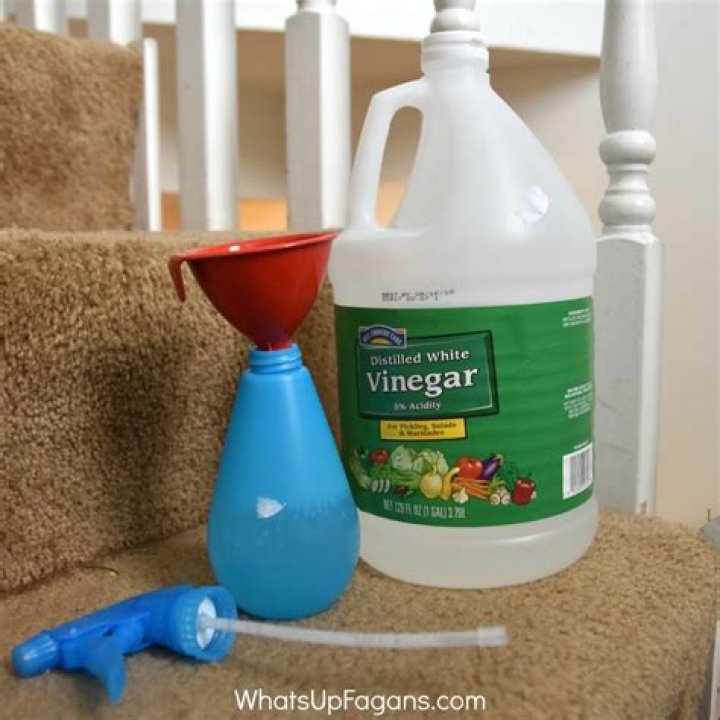 Does vinegar remove poop stains?