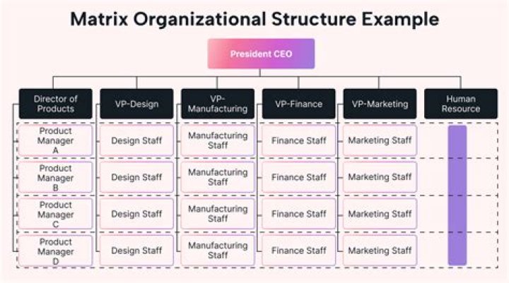 Does Wal-Mart use a matrix organizational structure?