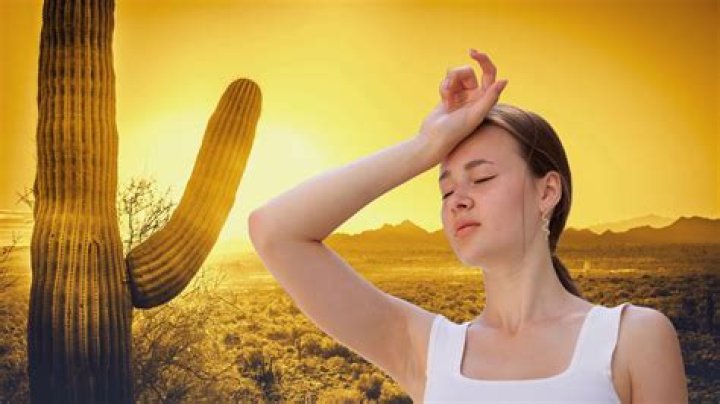 Has anyone entered the Sun?