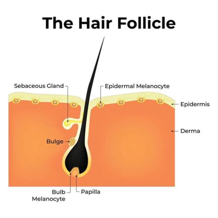 How can I activate my hair follicles naturally?