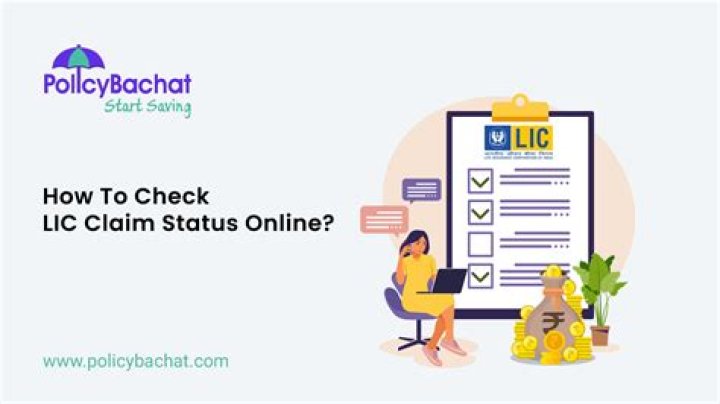 How can I check my LIC account?