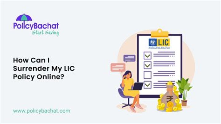 How can I check my LIC policy details?