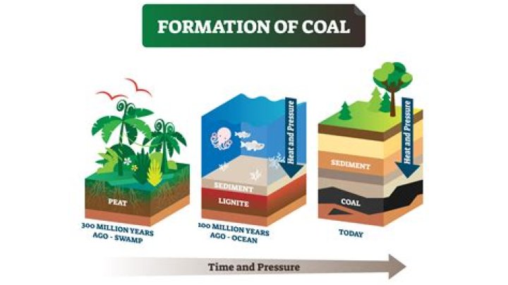 How can we conserve the coal?