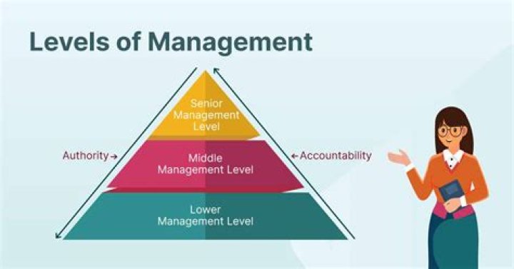How can you effectively communicate with different levels of management?