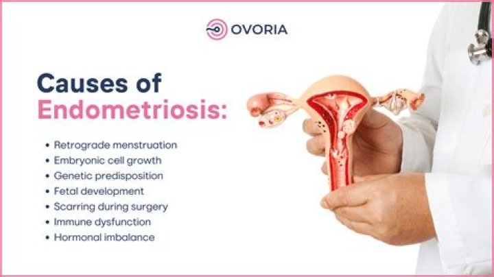 How can you prevent endometritis?