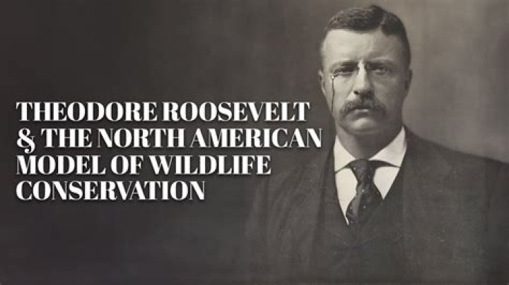 How did Teddy Roosevelt impact conservation?