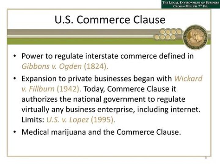 How did the government regulate business in the 1800s?
