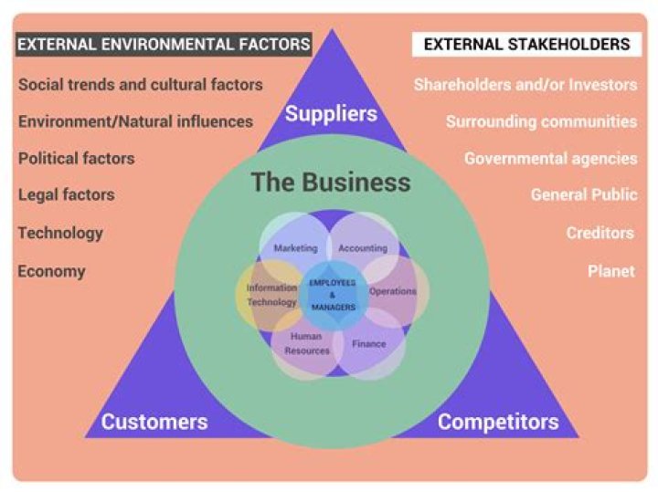 How do demographic factors affect business environment?