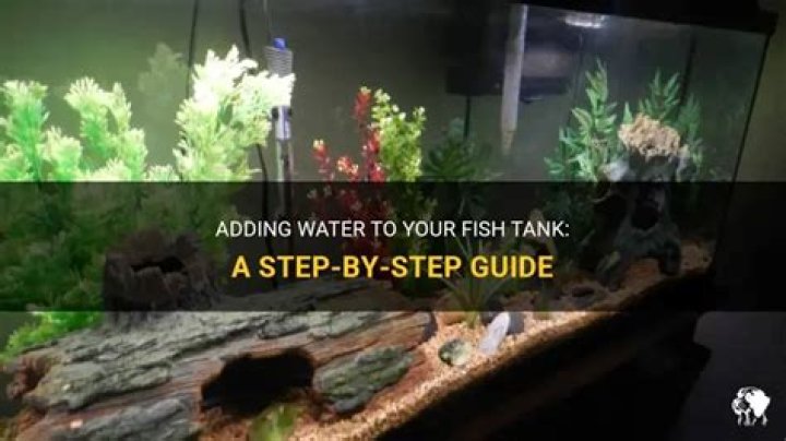 How do I add water to my fish tank?