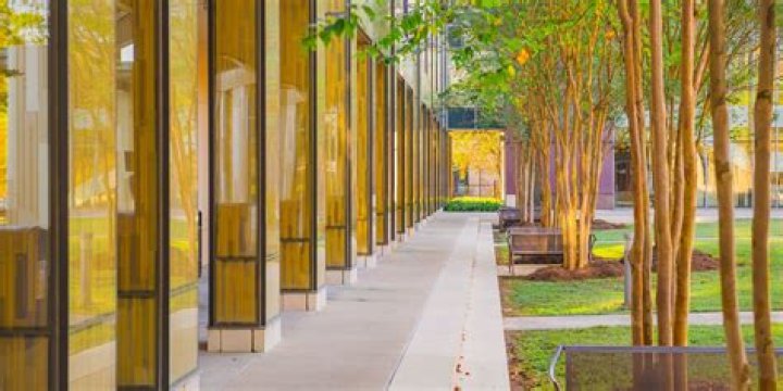 How do I get into LSU College of business?