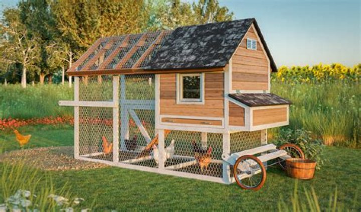 How do I keep my chicken coop from smelling?