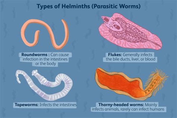 How do I know if I have parasitic worms?