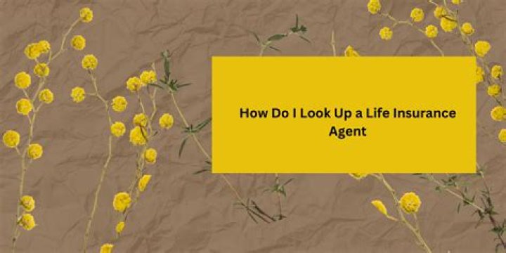 How do I look up a life insurance agent?