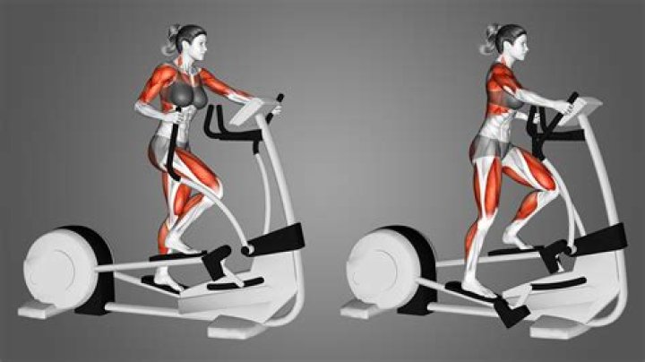 How do I see results from elliptical?