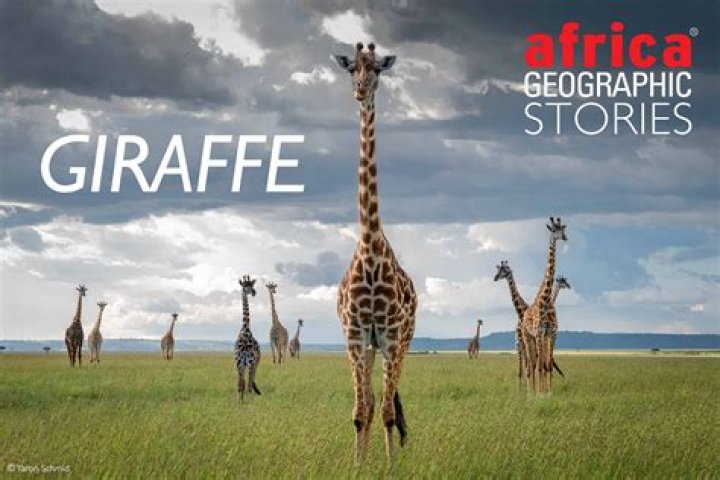 How do I suck her neck?