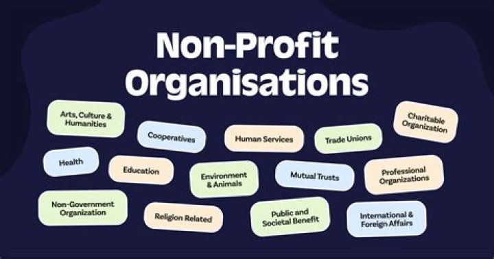 How do nonprofit organizations interact with businesses?