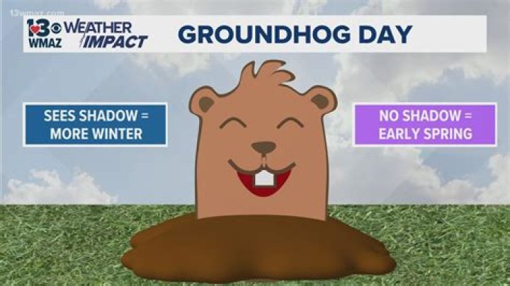 How do they pick the groundhog for Groundhog Day?