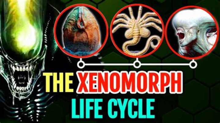 How do Xenomorphs reproduce?