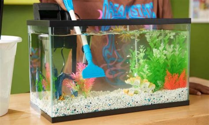 How do you change water in a fish tank?