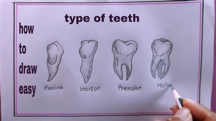 How do you draw out a carbuncle?