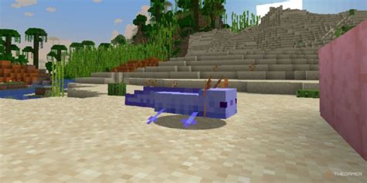 How do you dye an axolotl in Minecraft?