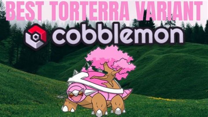 How do you get Torterra Arceus?