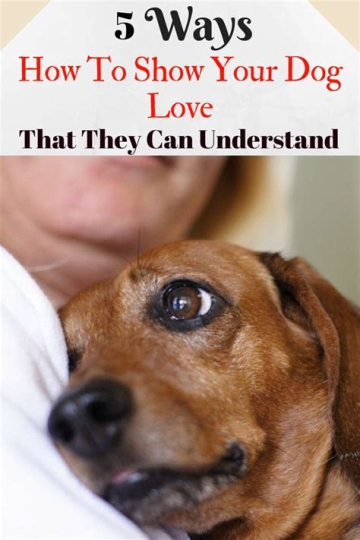 How do you know who your dog loves the most?