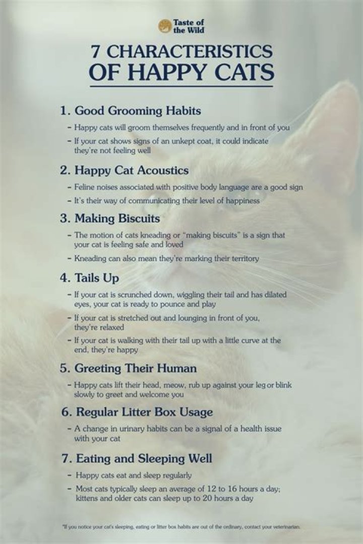 How do you know your cat is happy?