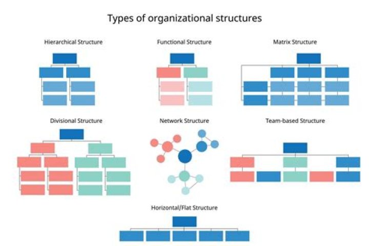 How do you organize structure and present information for the audience?