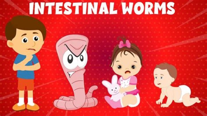 How do you test for worms in humans?