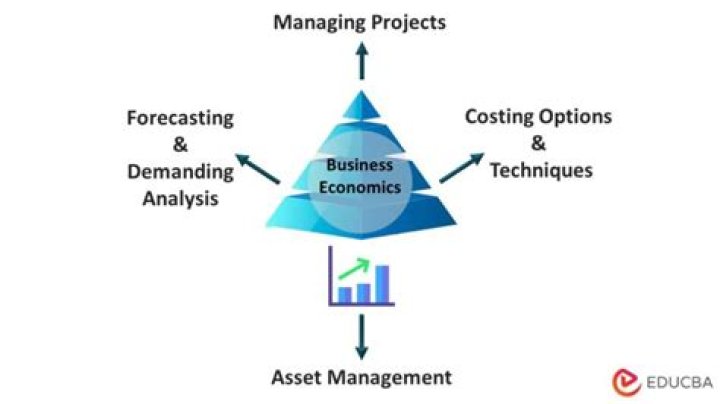 How does business economics help in decision making?