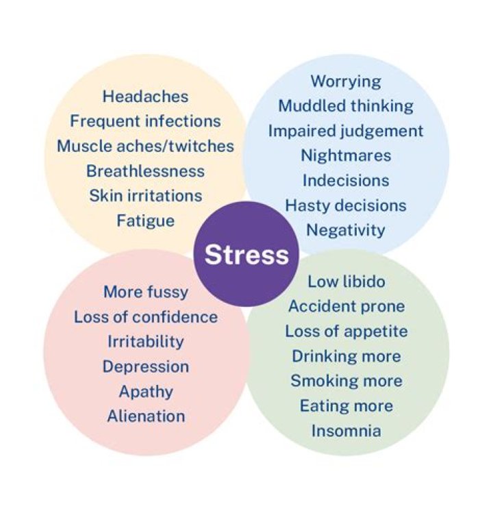 How does stress affect the working women?