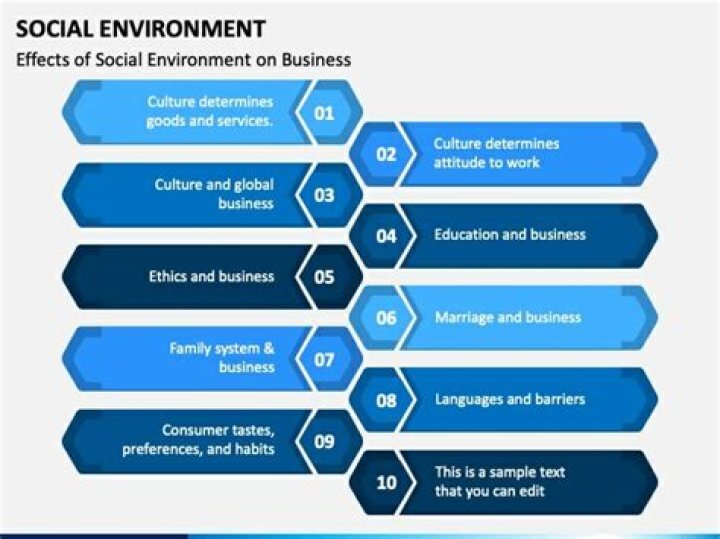 How does the social environment affect business?