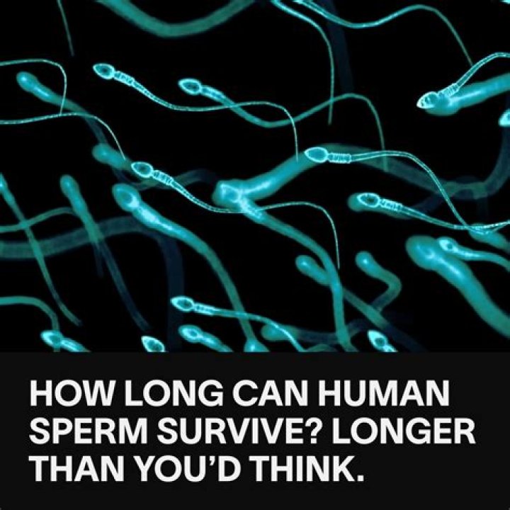 How long can human sperm be frozen?