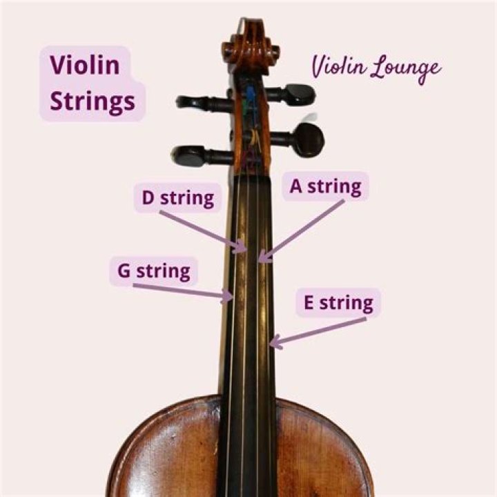 How long do cello strings last?